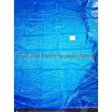 50GSM Blue Tarpauiln PE Tarpaulin Cover